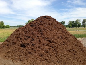 Double Ground Natural